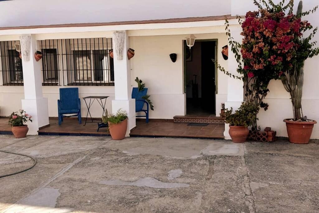 Sagrado Corazon - Chalet Con Piscina, A 25M Playa Sanlúcar de Barrameda Zewnętrze zdjęcie